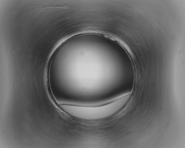 X0000112141101200908071051