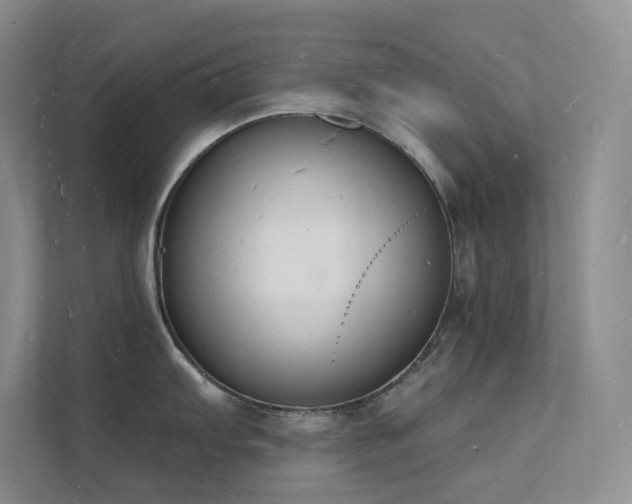 X0000112141103200908071051