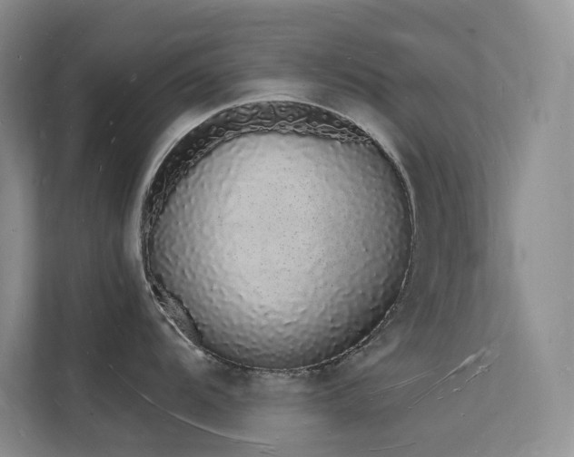 X0000112141104200908071051