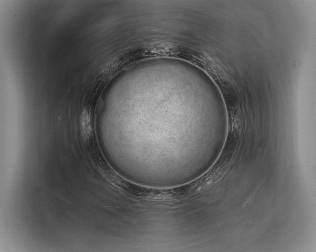 X0000112141106200908071050
