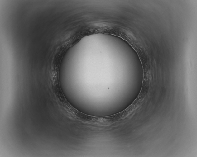 X0000112141109200908071050