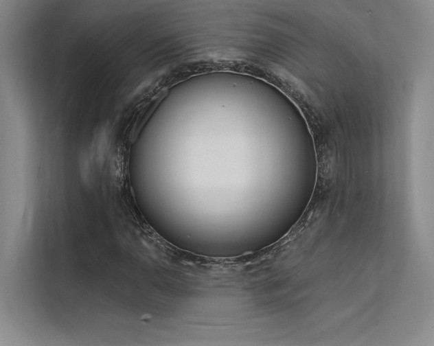 X0000112141110200908071050