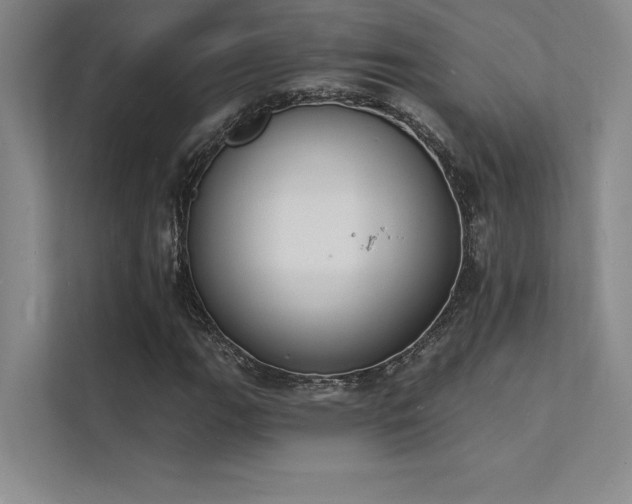 X0000112141111200908071050