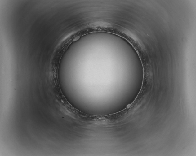 X0000112141112200908071050