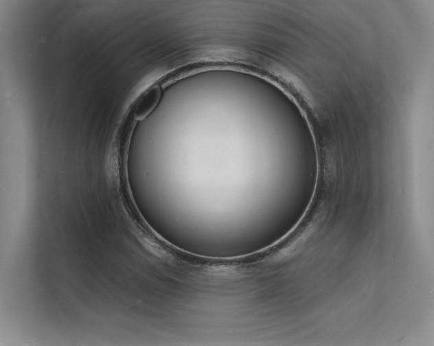 X0000112141114200908071050