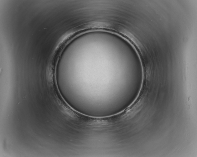 X0000112141115200908071050
