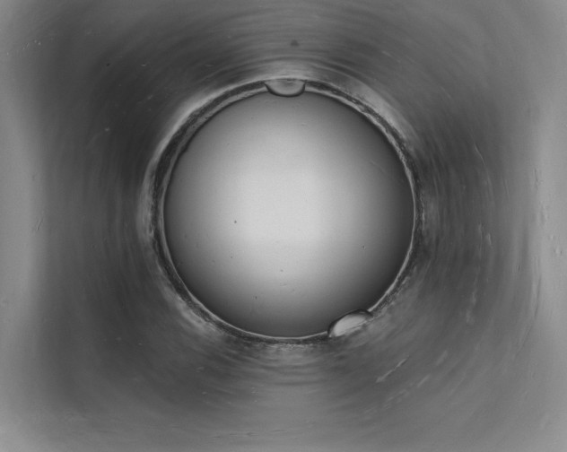 X0000112141116200908071050