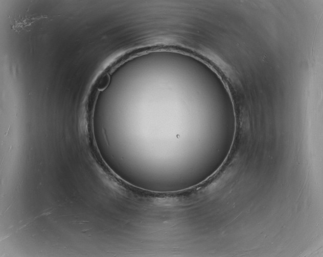 X0000112141118200908071050