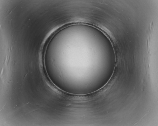 X0000112141120200908071050