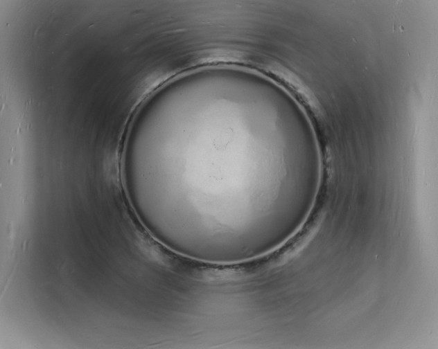 X0000112141121200908071050