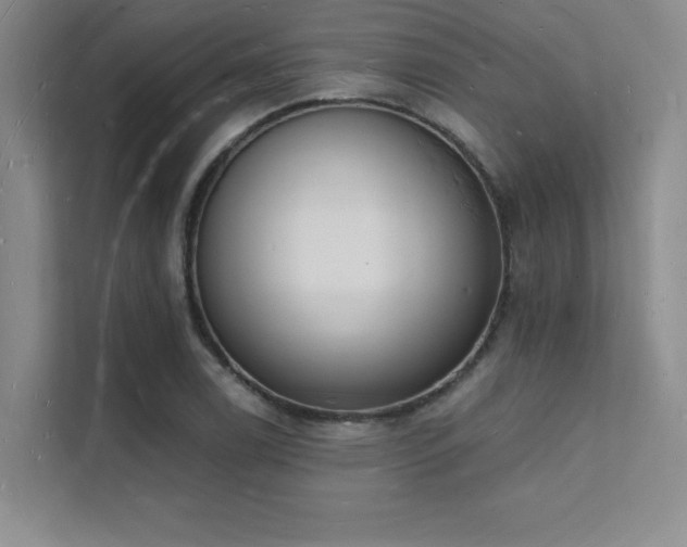X0000112141122200908071050