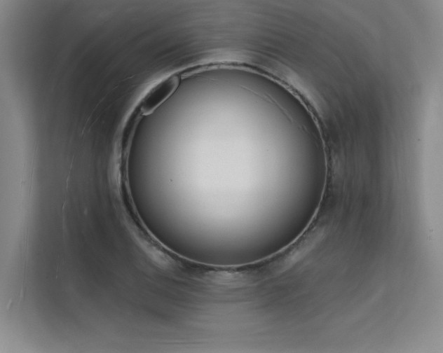 X0000112141124200908071050