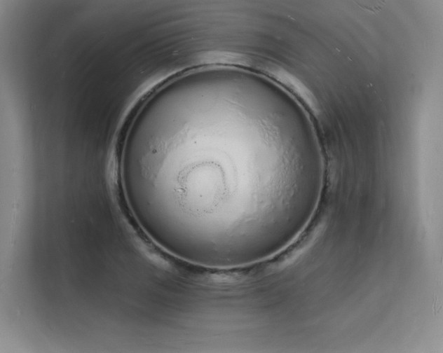 X0000112141125200908071050