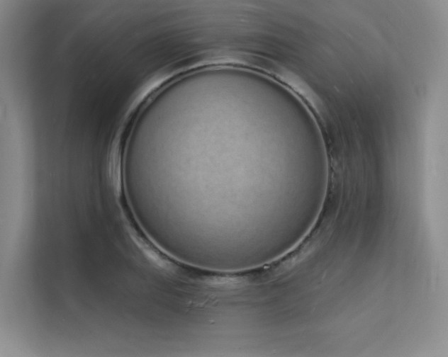 X0000112141127200908071050