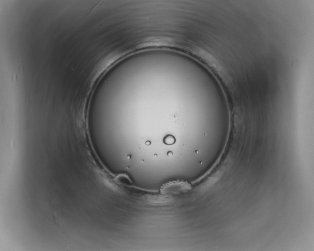 X0000112141129200908071050