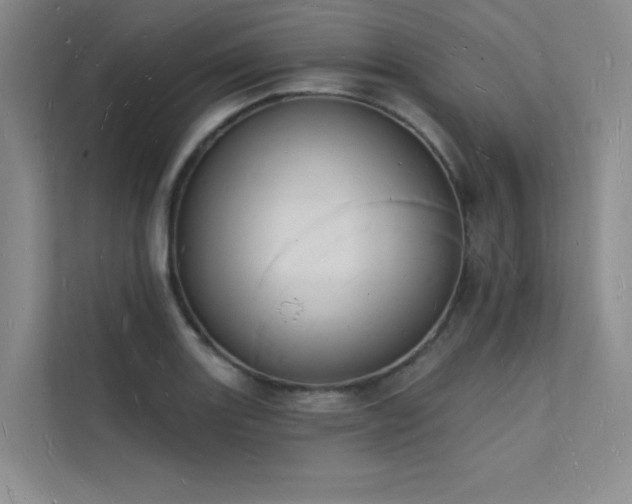 X0000112141131200908071050