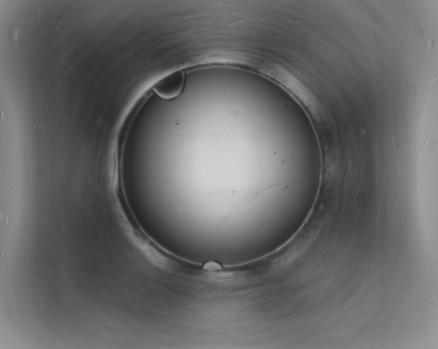 X0000112141132200908071050