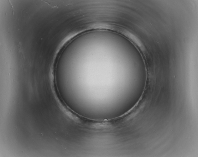 X0000112141133200908071050