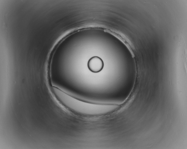 X0000112141134200908071050