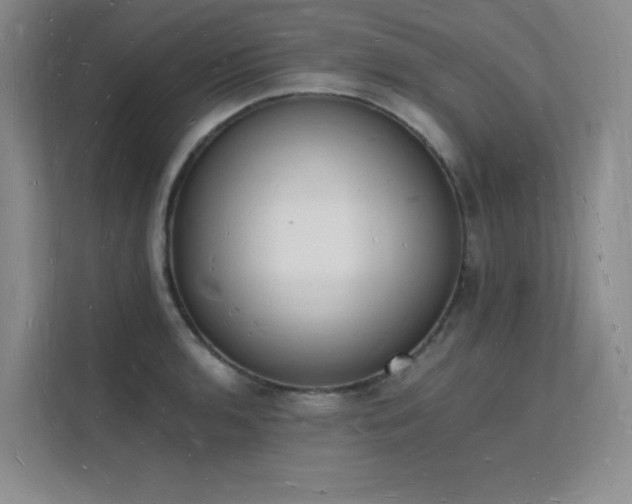 X0000112141136200908071050