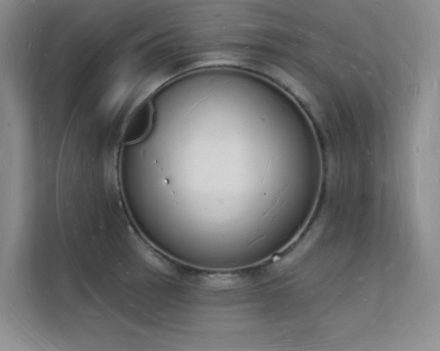 X0000112141137200908071050