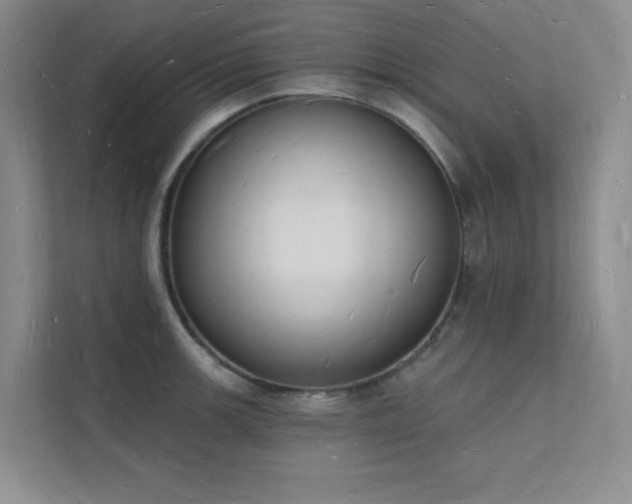 X0000112141139200908071050