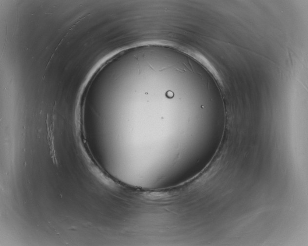X0000112141140200908071050