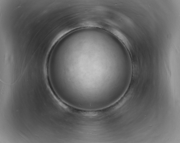 X0000112141141200908071050