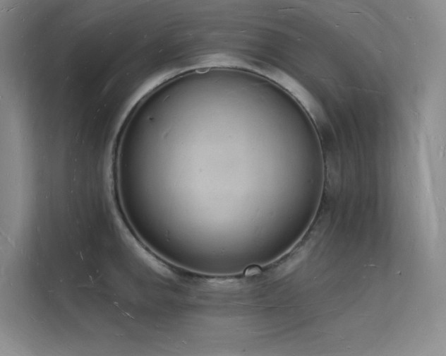 X0000112141142200908071050
