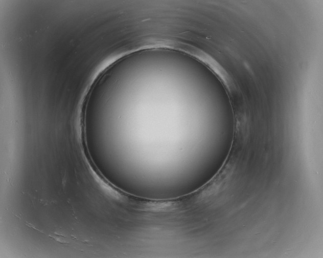 X0000112141143200908071050