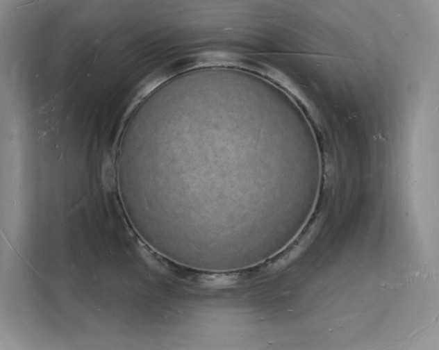 X0000112141145200908071051