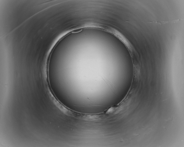 X0000112141148200908071051