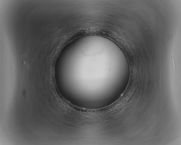 X0000112141153200908071050