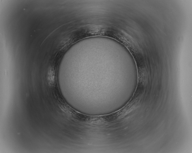 X0000112141154200908071050