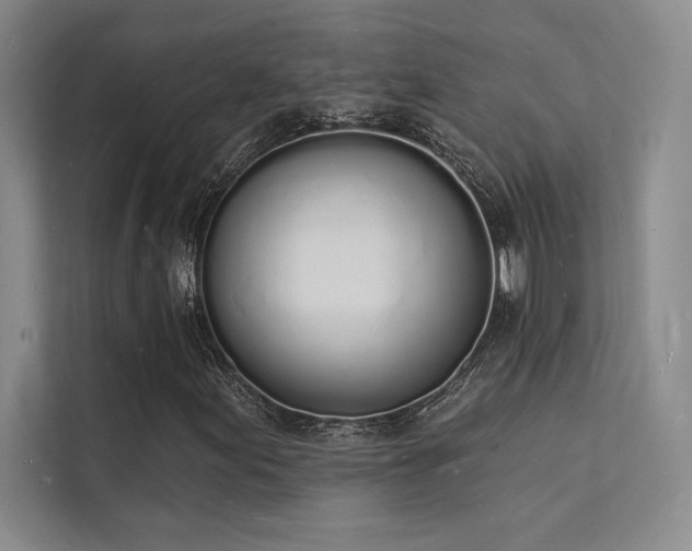 X0000112141155200908071050