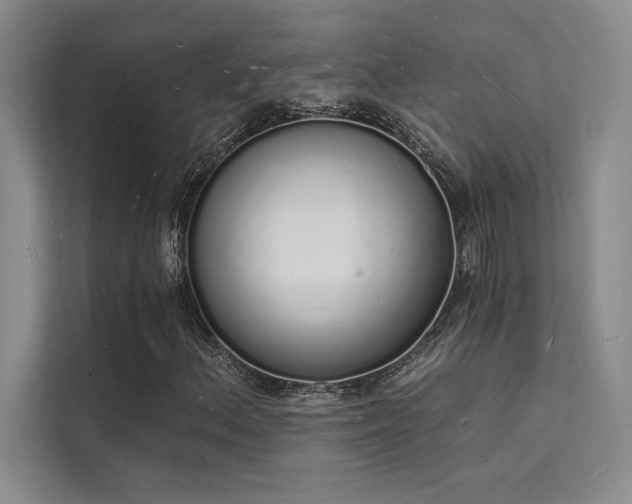 X0000112141156200908071050