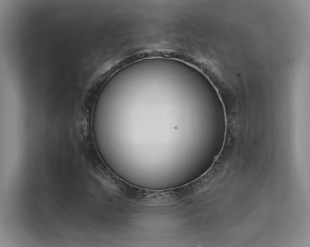 X0000112141159200908071050