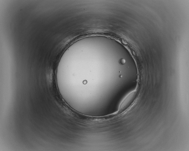 X0000112141161200908071050