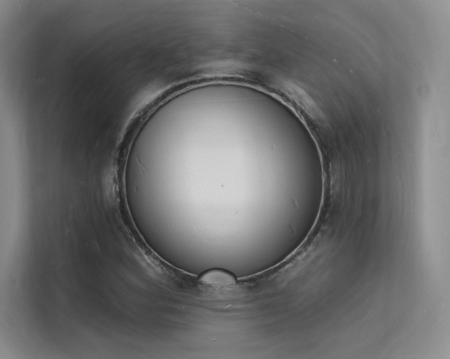 X0000112141164200908071050