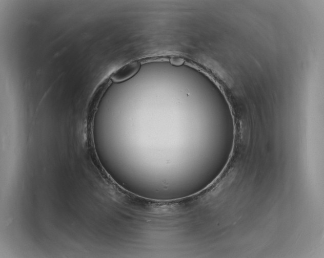X0000112141165200908071050