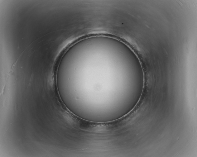 X0000112141167200908071050