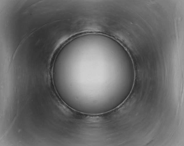 X0000112141168200908071050