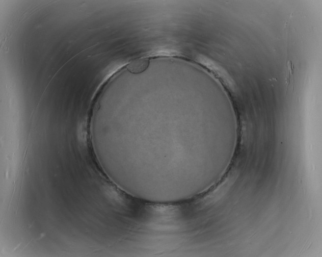 X0000112141170200908071050