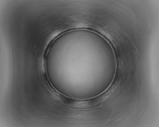 X0000112141171200908071050