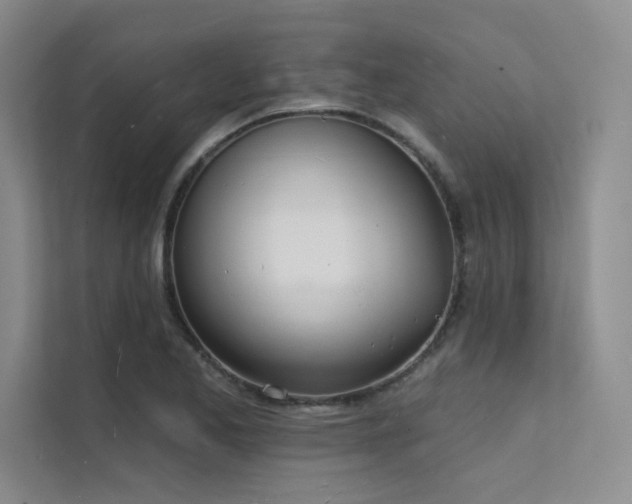 X0000112141173200908071050