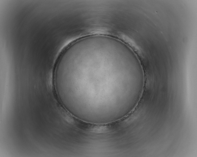 X0000112141174200908071050