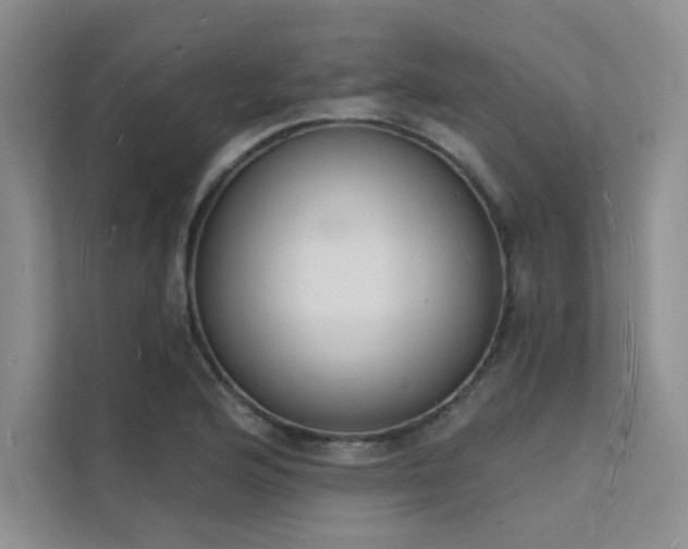 X0000112141176200908071050