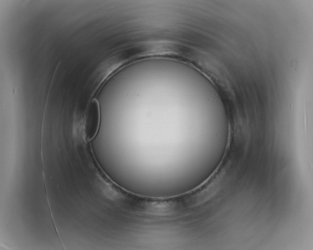 X0000112141177200908071050