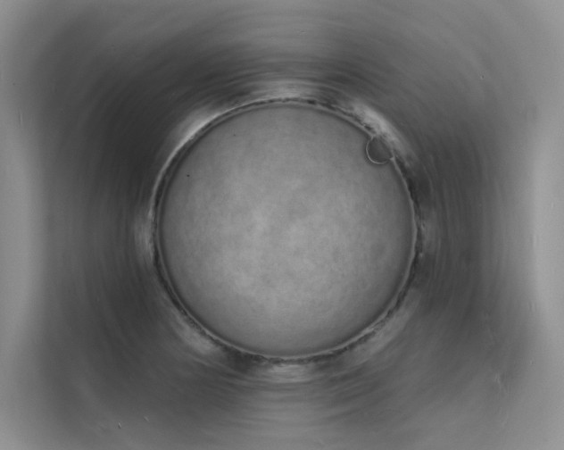 X0000112141178200908071050
