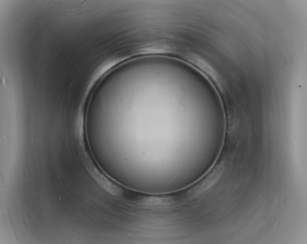 X0000112141179200908071050